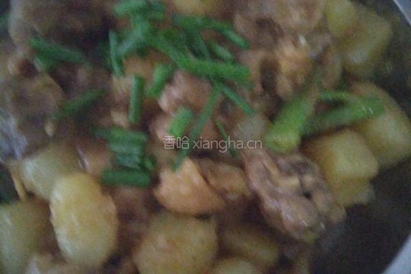 土豆焖鸡肉的做法图解15