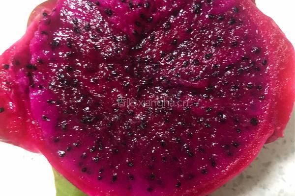 水果冰粉（火龙果，橙子）的做法图解1