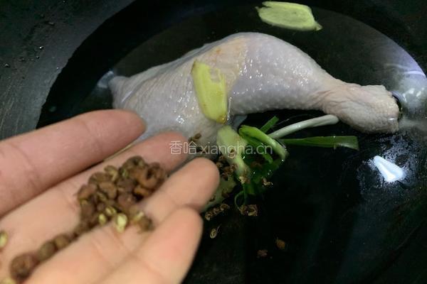 口水鸡的做法图解2