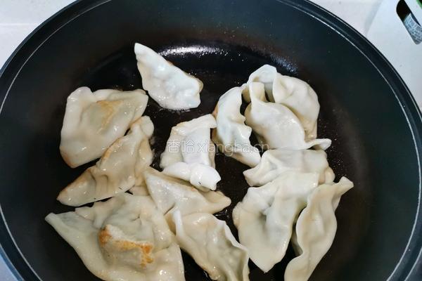 茴香饺子越吃越香的做法图解4