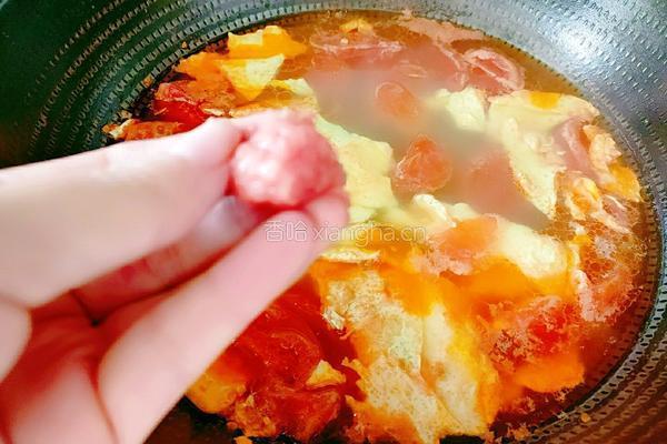番茄鸡蛋牛腩汤的做法图解14