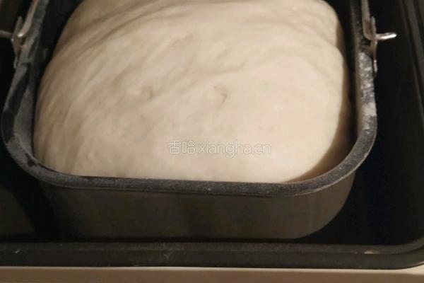 酱肉包子的做法图解9