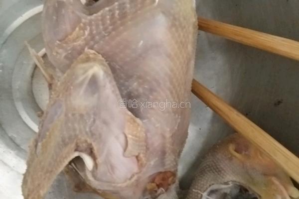 卤鸽子的做法图解1