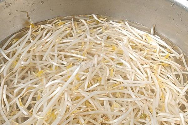 清炒豆芽的做法图解1