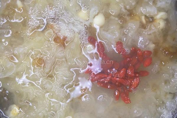 牛奶银耳桃胶莲子羹的做法图解4