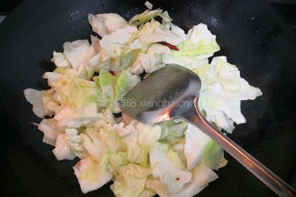春季卷心菜的做法图解8