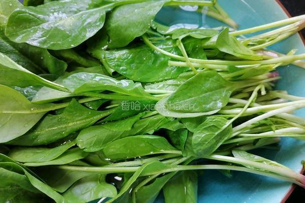 菠菜拌花生米的做法图解2