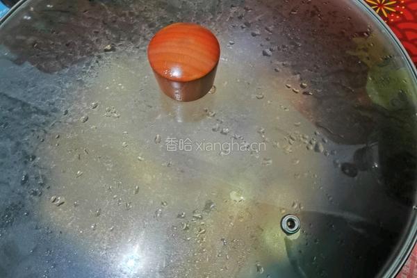 家常啤酒鸭的做法图解8