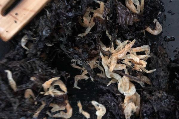 自制紫菜海苔的做法图解4