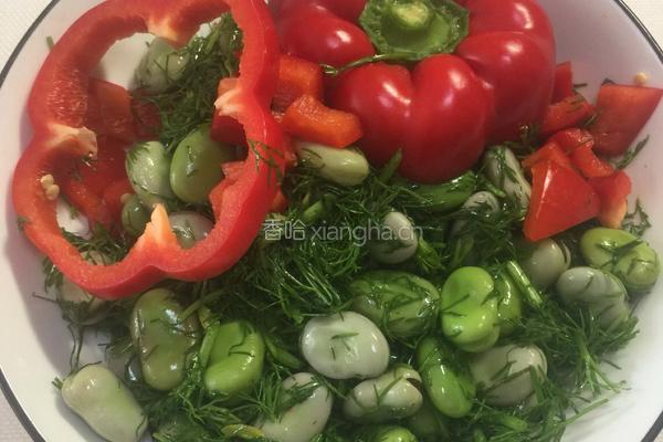 茴香蚕豆的做法图解11