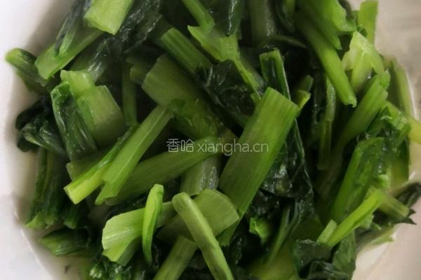 清炒苔菜的做法图解4