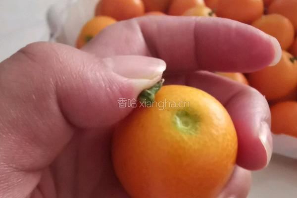  冰糖金橘的做法图解1