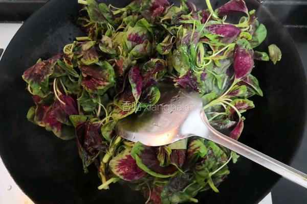 蒜香虾皮红苋的做法图解9