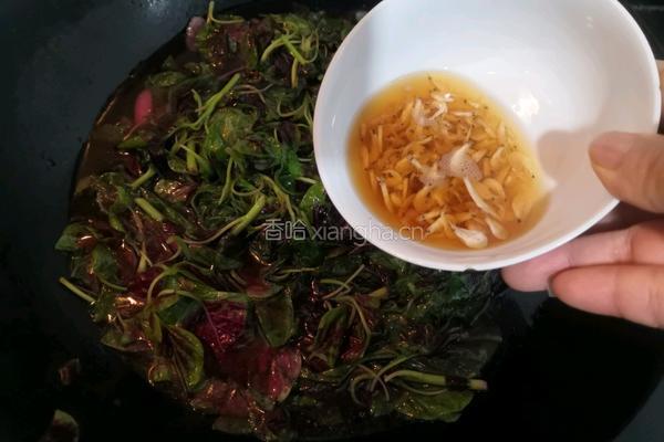 蒜香虾皮红苋的做法图解11