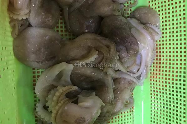 花枝丸的做法图解1