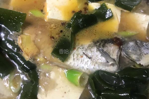海带豆腐煲鲫鱼的做法图解6