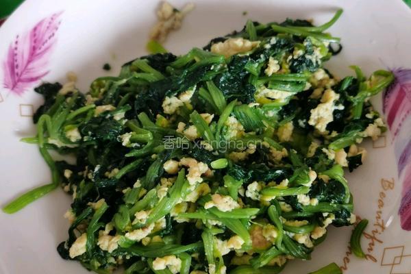 鸡蛋炒菠菜的做法图解5