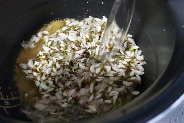 洋槐花小米粥的做法图解6