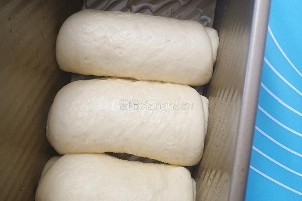 原味吐司面包的做法图解9