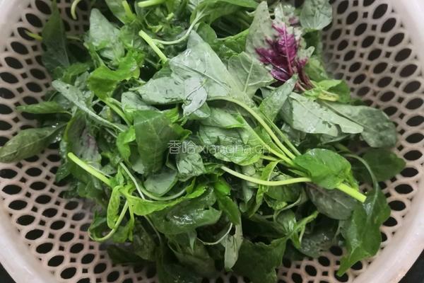上汤苋菜皮蛋的做法图解2