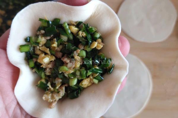 韭菜鸡蛋饺子的做法图解17