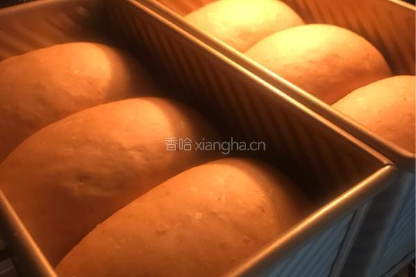低卡减脂红糖藜麦全麦吐司的做法图解10