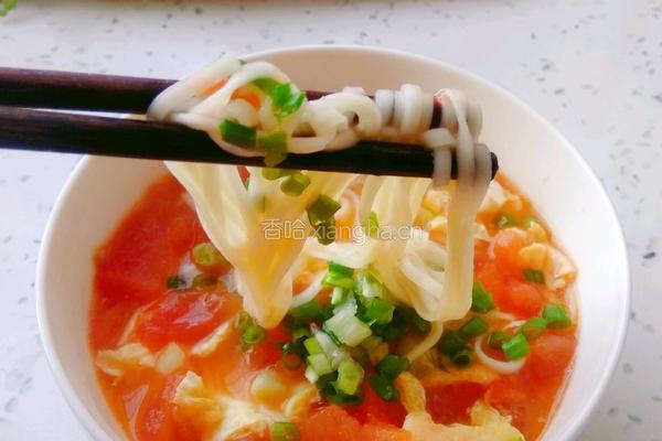 番茄鸡蛋面的做法图解7
