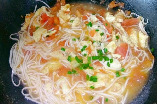 番茄鸡蛋面的做法图解6