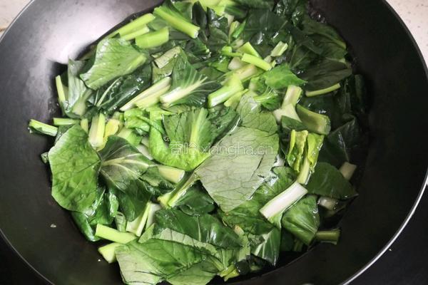油菜虾皮的做法图解3