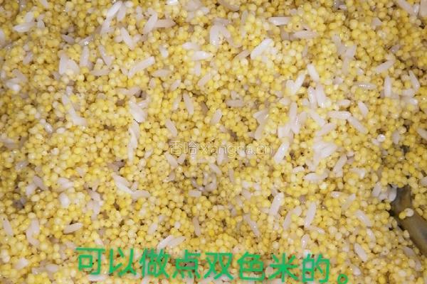 甜糯粽子的做法图解4