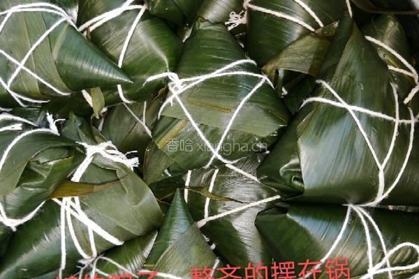 甜糯粽子的做法图解7