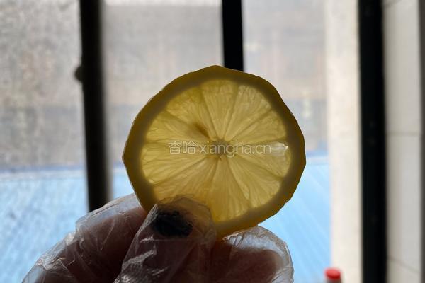 冰糖柠檬膏超简单清热解暑预防干燥上火缓解咽喉干痛清热润肺的做法图解6