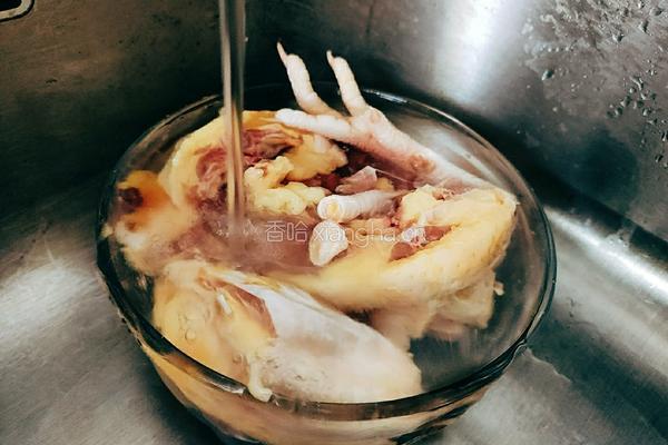玉米山药鸡汤的做法图解3
