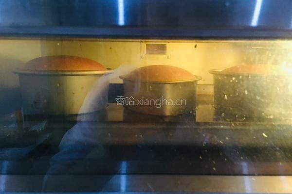 cheesecake的做法图解10