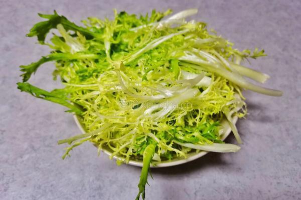 果蔬沙拉孕育的做法图解2