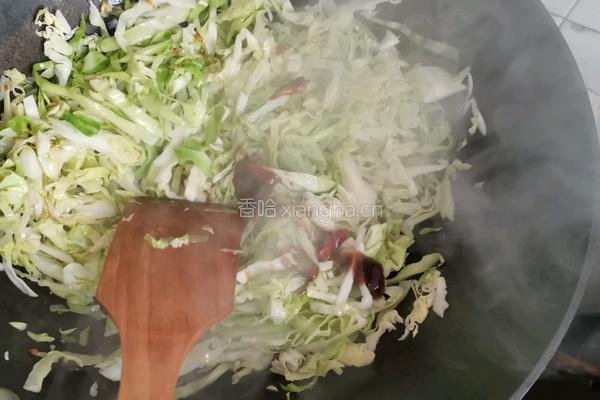 包菜和粉条相遇的做法图解5