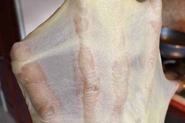 中种软欧包,这款面包口感超软,是我最喜欢的口感的做法图解6
