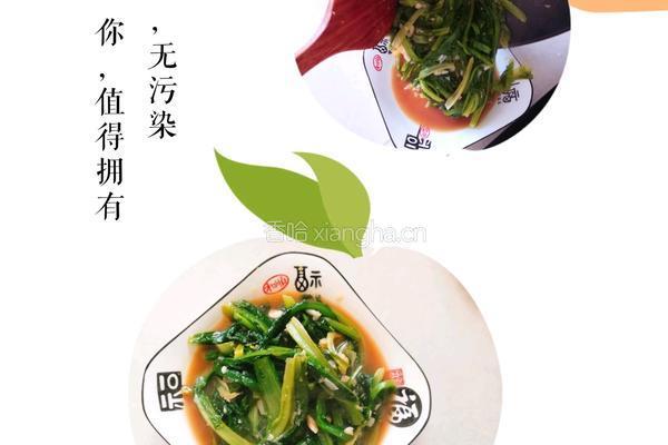 蚝油油麦菜的做法图解5