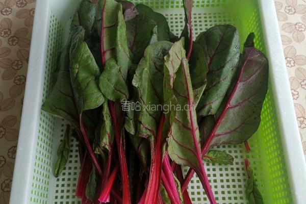 红甜菜肉酱意大利面的做法图解1