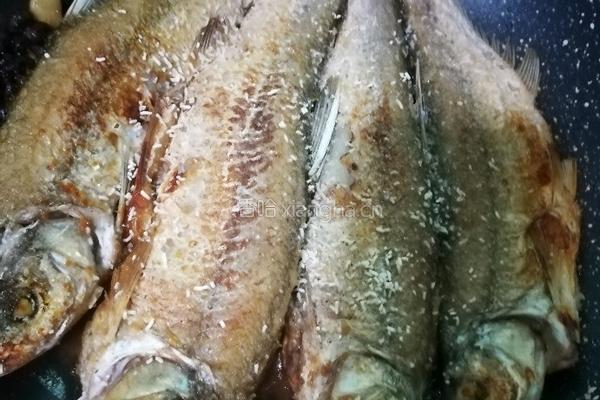 豆鼓刁子鱼的做法图解8