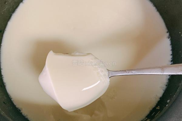 自制豆腐的做法图解8