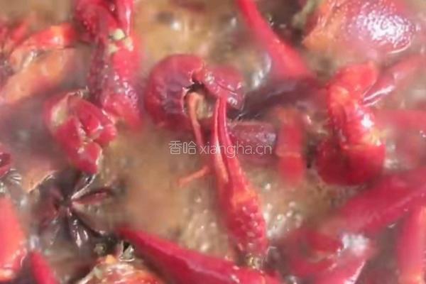 麻辣小龙虾的做法图解6