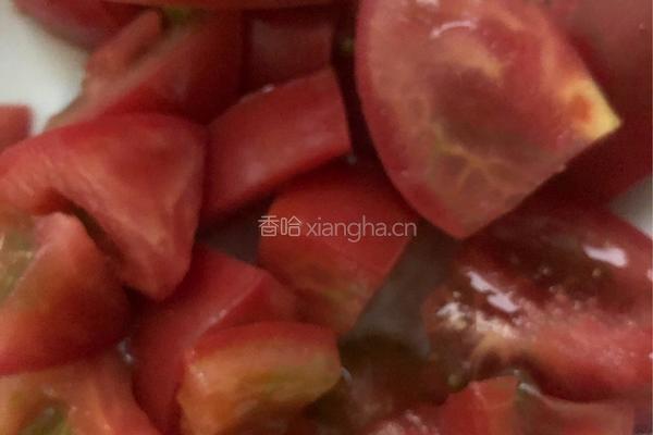 西红柿炖冬瓜的做法图解1