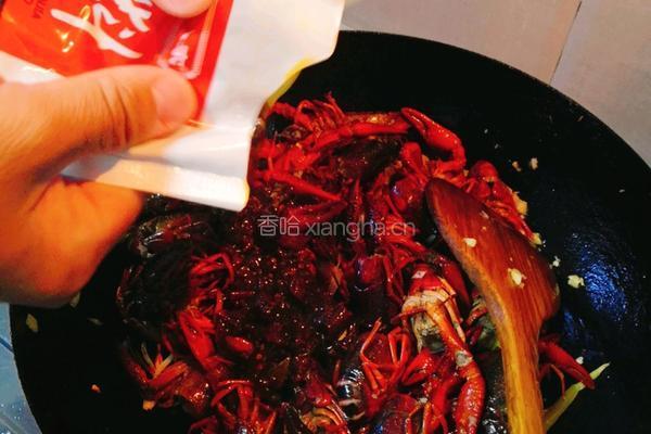 啤酒焖小龙虾的做法图解7