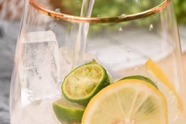夏季解暑圣品荔枝莫吉托在家2步简单搞定的做法图解2