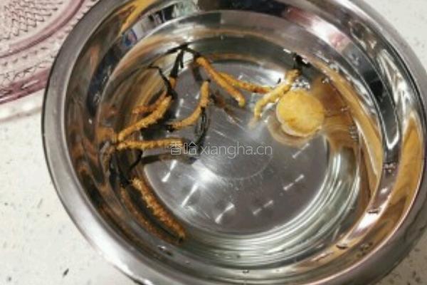 几步就能搞定的虫草鸡汤的做法图解1