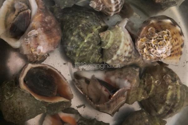 姜汁海螺的做法图解1