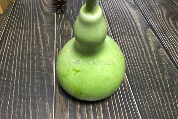 清炒蒲瓜 清热解暑的做法图解1