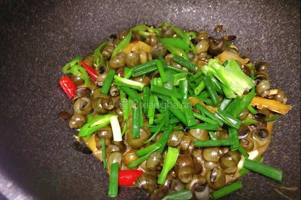 啤酒香辣螺丝的做法图解11
