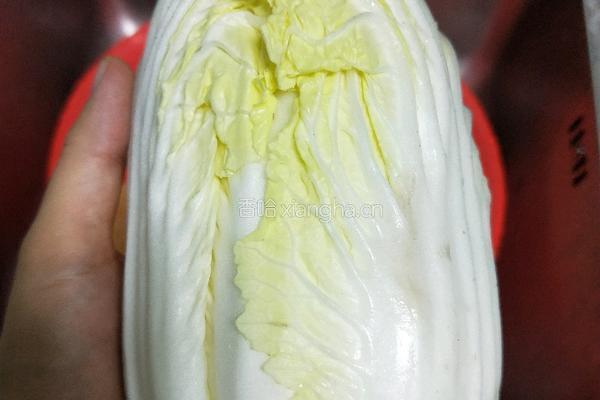 酸辣白菜的做法图解1